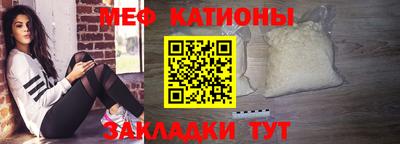 шишки Новодвинск