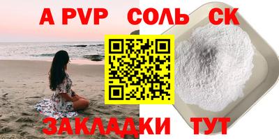 шишки Новодвинск