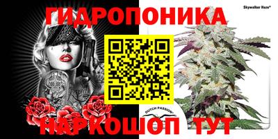 шишки Новодвинск