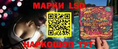 шишки Новодвинск