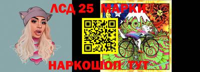 шишки Новодвинск