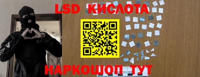 ГАЛЛЮЦИНОГЕННЫЕ ГРИБЫ Новозыбков