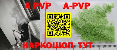 шишки Новодвинск