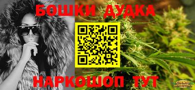 шишки Новодвинск