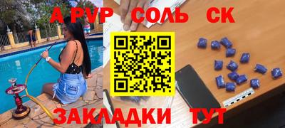 шишки Новодвинск