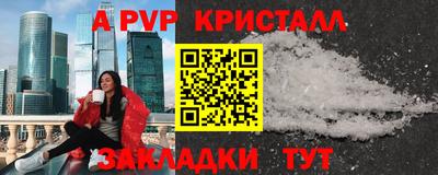 шишки Новодвинск