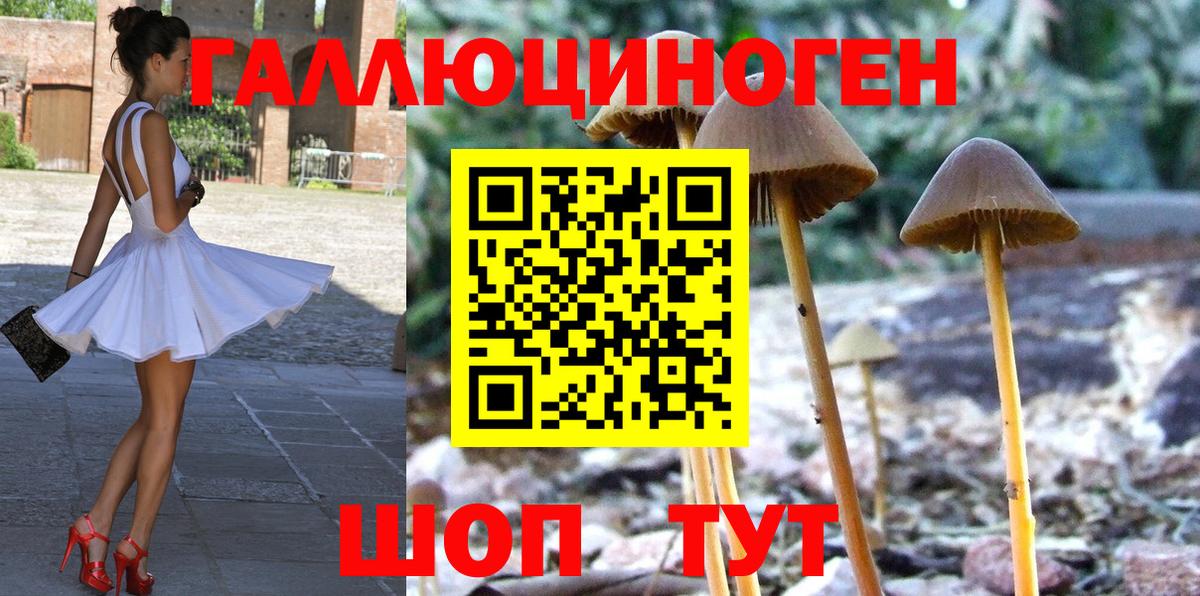 Галлюциногенные грибы мухоморы  Вход с VPN  Тосно  Галлюциногенные грибы Cubensis 