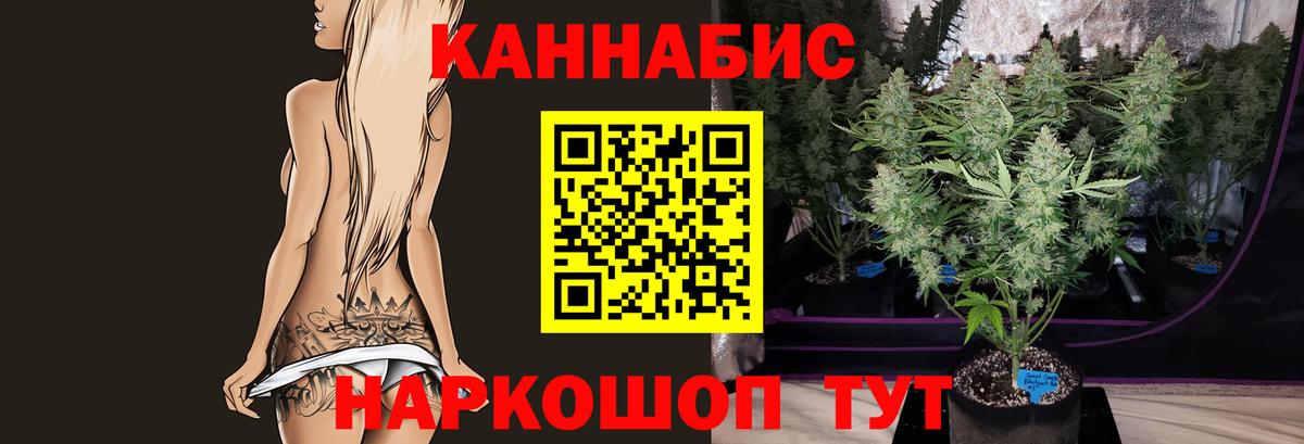 Каннабис конопля  Вход с VPN  Канабис SATIVA & INDICA  Тосно 